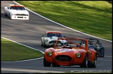 A1GP_and_Support_Brands_Hatch_030509_AE_095