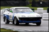 South_Downs_Stages_Rally_Goodwood_060210_AE_030
