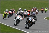 BEMSEE_and_MRO_Brands_Hatch_060311_AE_044