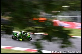BSBK_and_Support_Brands_Hatch_060811_AE_011
