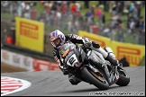 BSBK_and_Support_Brands_Hatch_060811_AE_085