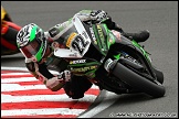BSBK_and_Support_Brands_Hatch_060811_AE_087