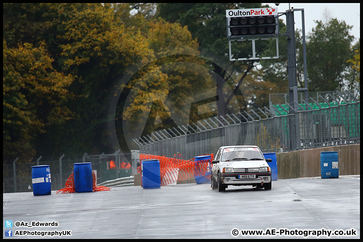 NH_Stage_Rally_Oulton_Park_07-11-15_AE_025.jpg
