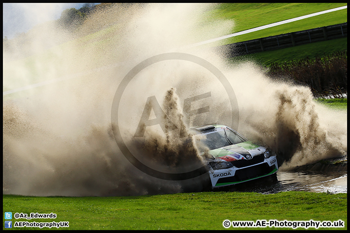 NH_Stage_Rally_Oulton_Park_07-11-15_AE_068.jpg