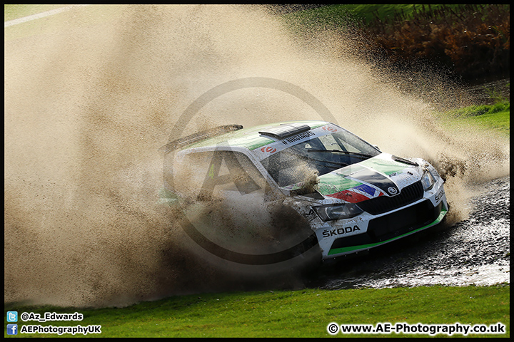 NH_Stage_Rally_Oulton_Park_07-11-15_AE_069.jpg