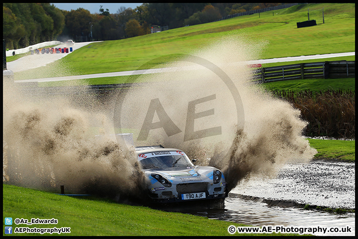 NH_Stage_Rally_Oulton_Park_07-11-15_AE_070.jpg