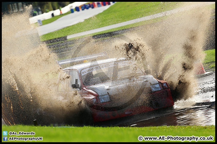 NH_Stage_Rally_Oulton_Park_07-11-15_AE_085.jpg