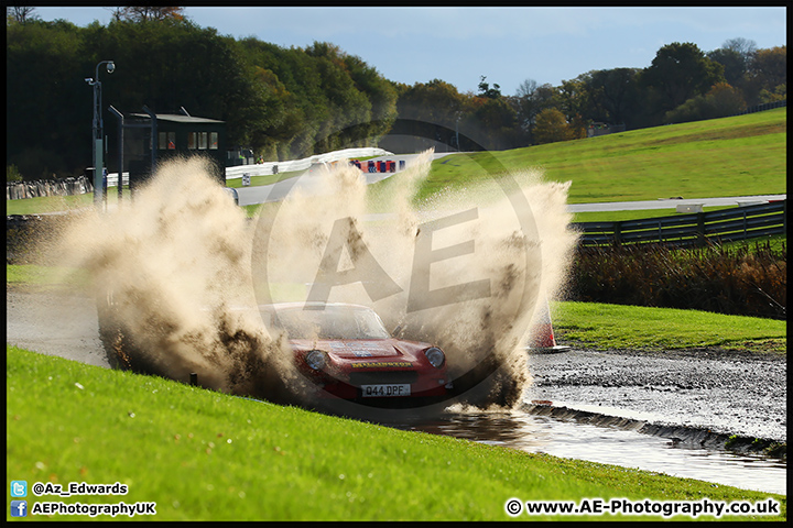 NH_Stage_Rally_Oulton_Park_07-11-15_AE_088.jpg