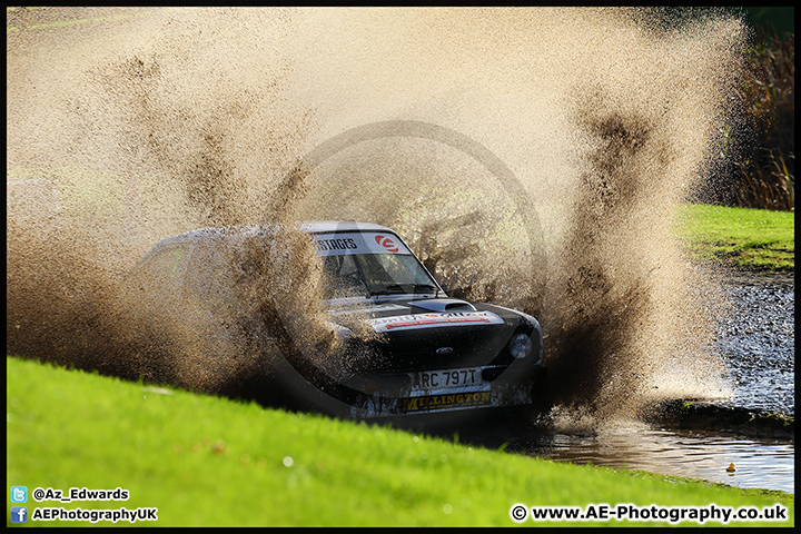 NH_Stage_Rally_Oulton_Park_07-11-15_AE_124.jpg