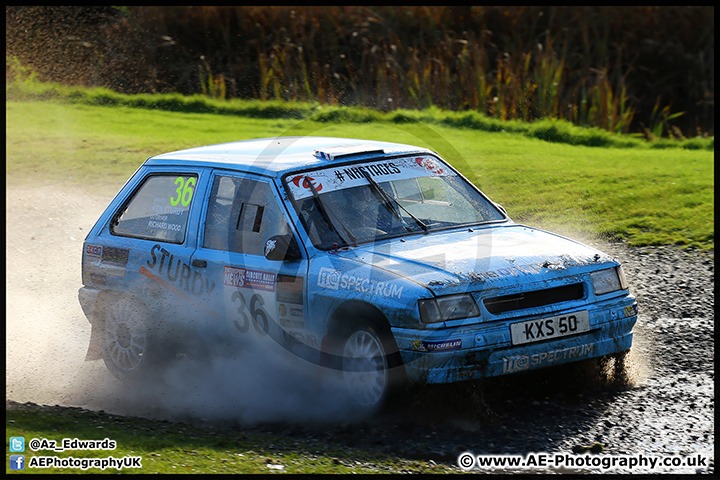 NH_Stage_Rally_Oulton_Park_07-11-15_AE_153.jpg