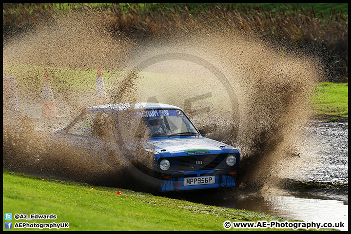 NH_Stage_Rally_Oulton_Park_07-11-15_AE_160.jpg