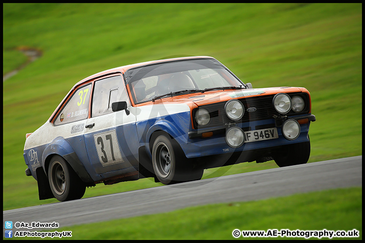 NH_Stage_Rally_Oulton_Park_07-11-15_AE_201.jpg