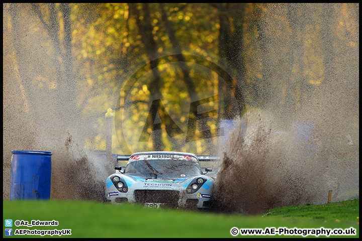 NH_Stage_Rally_Oulton_Park_07-11-15_AE_240.jpg