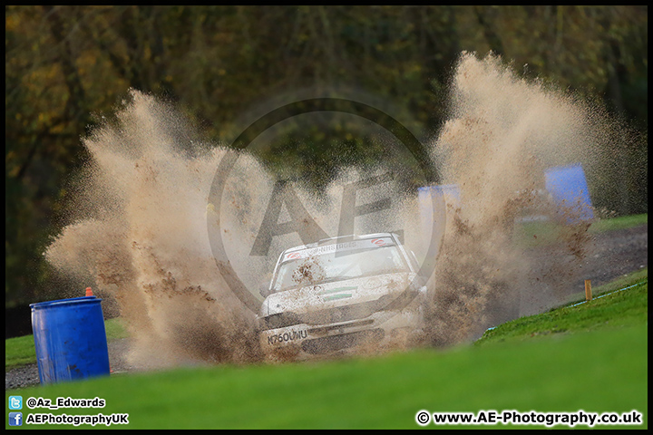 NH_Stage_Rally_Oulton_Park_07-11-15_AE_258.jpg