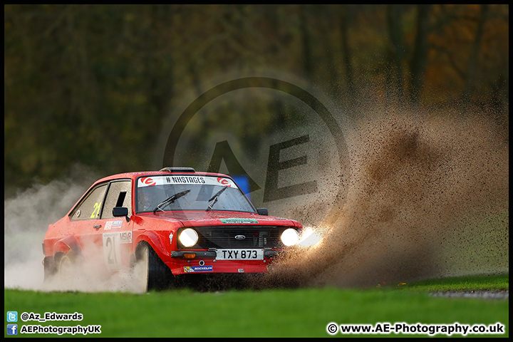 NH_Stage_Rally_Oulton_Park_07-11-15_AE_263.jpg