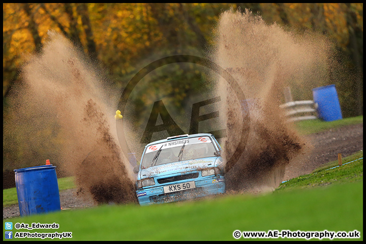 NH_Stage_Rally_Oulton_Park_07-11-15_AE_275.jpg