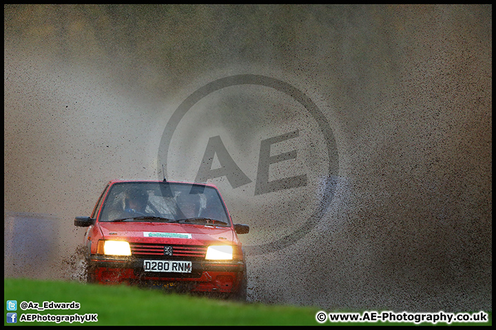 NH_Stage_Rally_Oulton_Park_07-11-15_AE_286.jpg