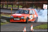 South_Downs_Stages_Rally_Goodwood_070209_AE_013