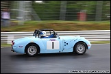 Classic_Sports_Car_Club_Brands_Hatch_070511_AE_048