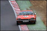 Classic_Sports_Car_Club_Brands_Hatch_070511_AE_065