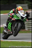 BSBK_and_Support_Brands_Hatch_081011_AE_025