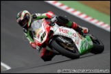 BSBK_and_Support_Brands_Hatch_081011_AE_110