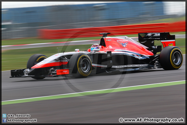 F1_Testing_Silverstone_090714_AE_009.jpg