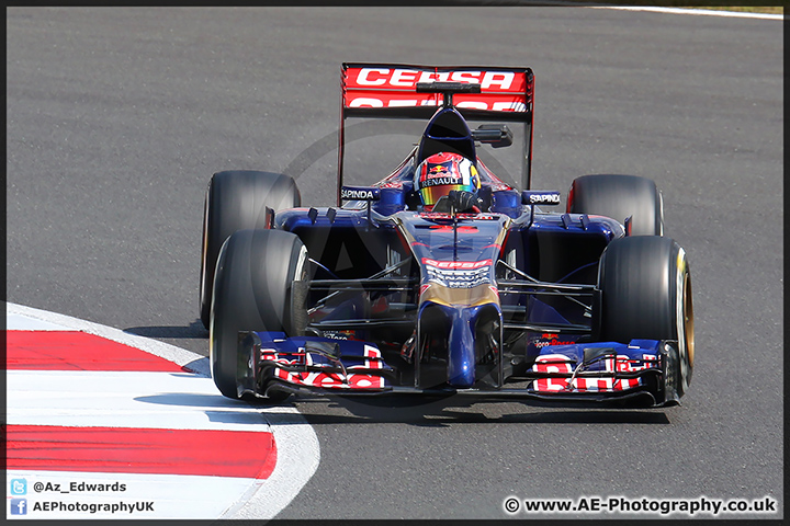 F1_Testing_Silverstone_090714_AE_023.jpg