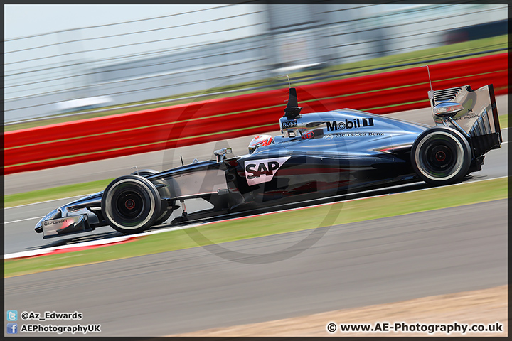 F1_Testing_Silverstone_090714_AE_037.jpg