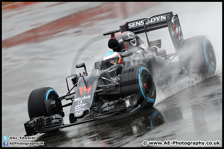 F1_Testing_Silverstone_12-07-16_AE_051.jpg