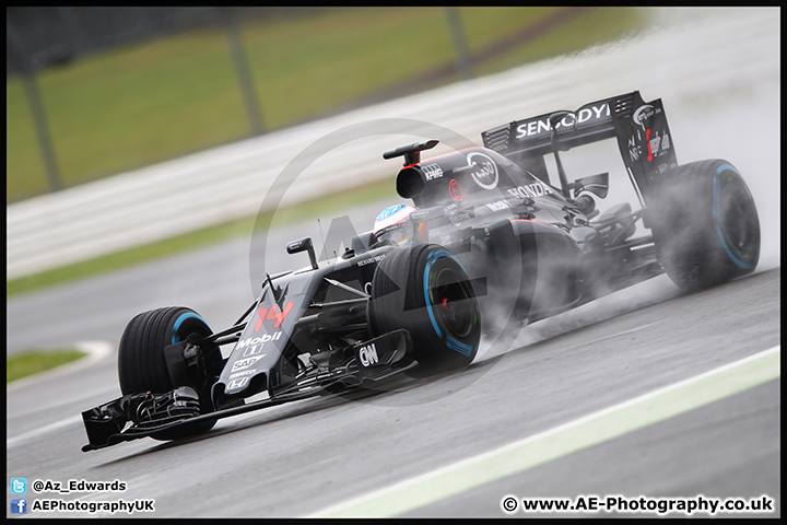 F1_Testing_Silverstone_12-07-16_AE_081.jpg