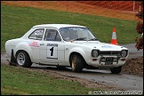 South_Downs_Stages_Rally_Goodwood_120211_AE_001