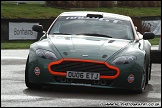 South_Downs_Stages_Rally_Goodwood_120211_AE_044