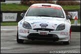 South_Downs_Stages_Rally_Goodwood_120211_AE_049