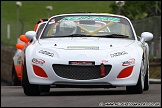 BRSCC_Championship_Racing_Brands_Hatch_120610_AE_008
