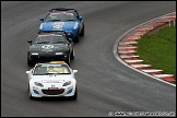 Britcar_and_Support_Brands_Hatch_131110_AE_003
