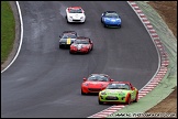 Britcar_and_Support_Brands_Hatch_131110_AE_045