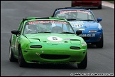Britcar_and_Support_Brands_Hatch_131110_AE_060