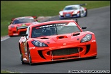 F3-GT_and_Support_Brands_Hatch_180611_AE_122