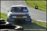 Brands_Hatch_Stage_Rally_220112_AE_092