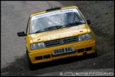 Brands_Hatch_Stage_Rally_220112_AE_209