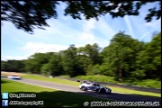 British_F3-GT_and_Support_Brands_Hatch_230612_AE_049