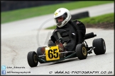 Gold_Cup_Oulton_Park_250813_AE_023