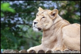Cotswold_Wildlife_Park_29_08-15_AE_002