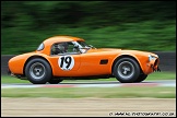 Masters_Historic_Festival_Brands_Hatch_290511_AE_062