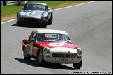Masters_Historic_Festival_Brands_Hatch_290511_AE_075