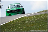 Masters_Historic_Festival_Brands_Hatch_300510_AE_068