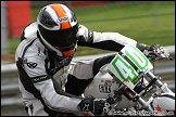 BEMSEE_and_MRO_Brands_Hatch_300711_AE_045