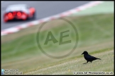 MSVR_Brands_Hatch_01-05-17_AE_232