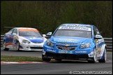 BTCC_and_Support_Brands_Hatch_010510_AE_023